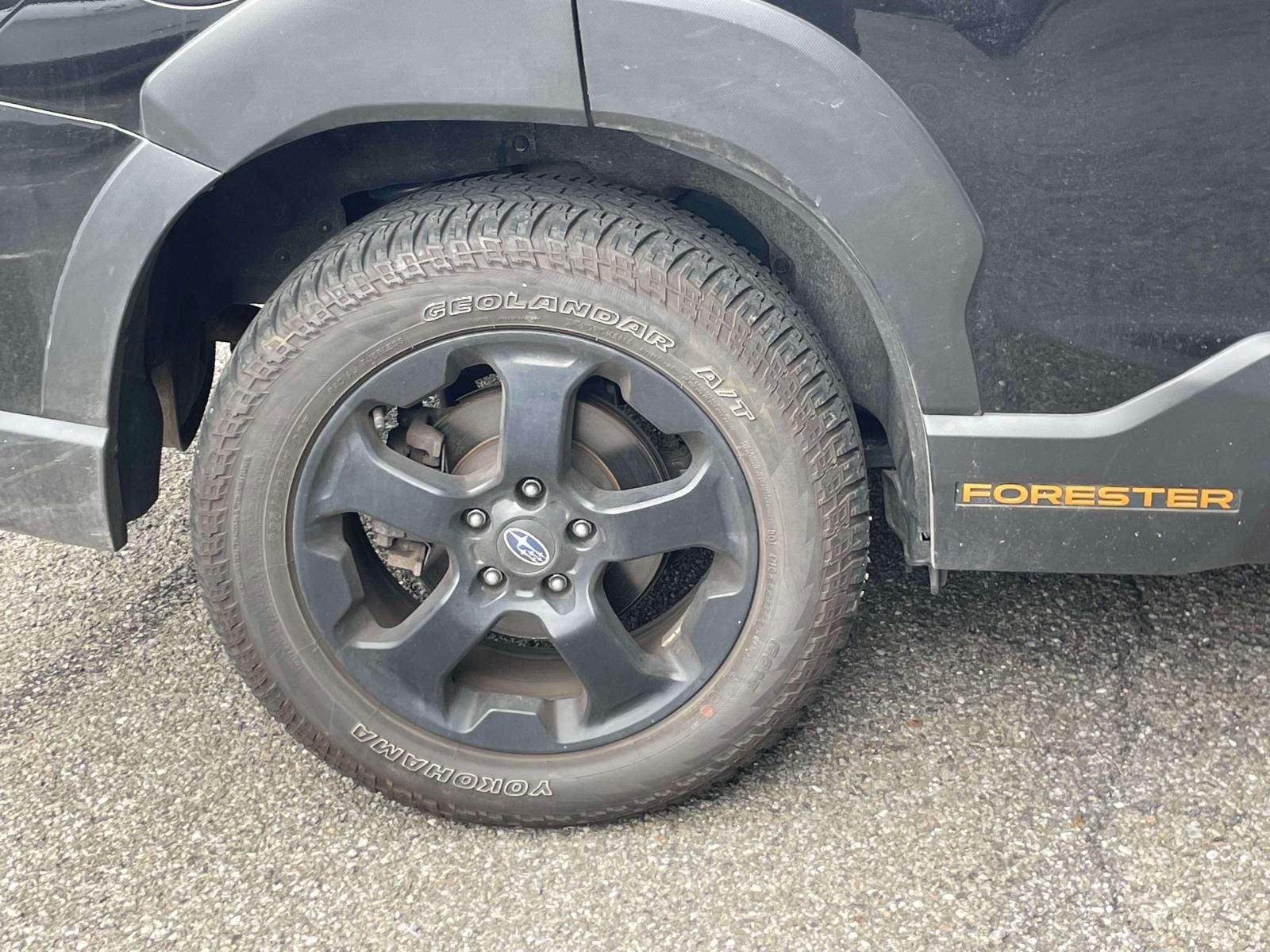2023 Subaru Forester Wilderness