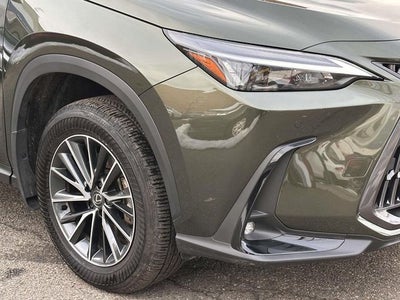 2025 Lexus NX 350h Premium