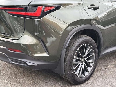 2025 Lexus NX 350h Premium