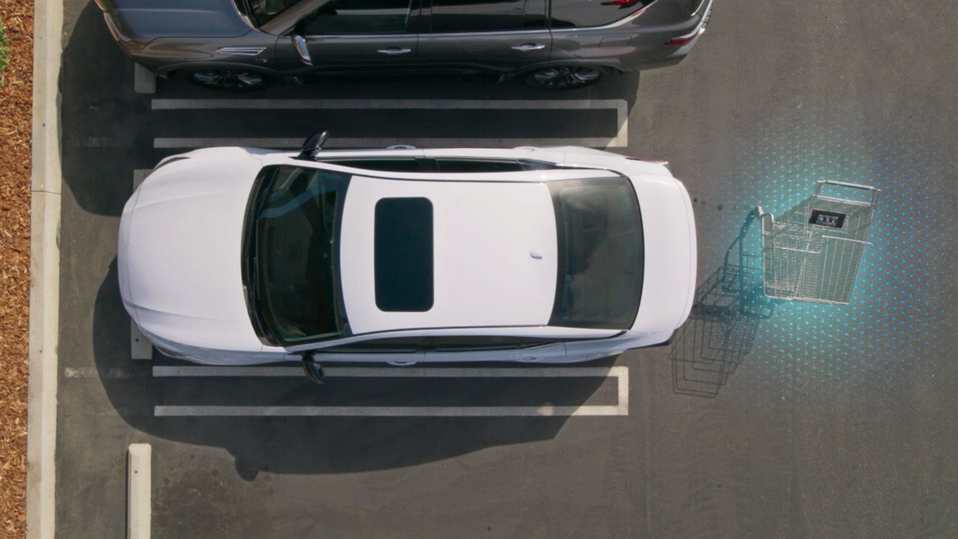 2026 Nissan Altima | Nissan City of Red Bank in Red Bank, NJ