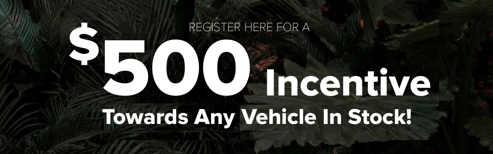 $500 Incentives | Nissan City of Red Bank in Red Bank NJ